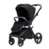 Коляска 2 в 1 Anex L/type (lt-13tN) onyx