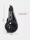 Коляска 2 в 1 Rant Flex Pro RA074 Black 