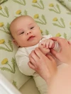 Кроватка-трансформер Happy Baby Mommy Love 160*70 и 100*70 (закругленный) Sage