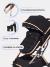 Коляска-трансформер Rant Pulsar RA160 2 в 1 з/р Black