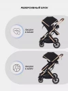 Коляска-трансформер Rant Pulsar RA160 2 в 1 з/р Black