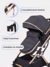Коляска-трансформер Rant Pulsar RA160 2 в 1 з/р Grey
