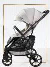 Коляска прогулочная Ining Baby F6 Pro Cream