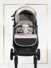 Коляска прогулочная Ining Baby F6 Pro Cream