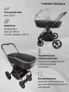 Коляска 2 в 1 Rant Teo RA122 Black