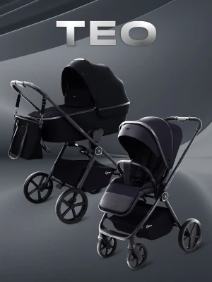 Коляска 2 в 1 Rant Teo RA122 Black