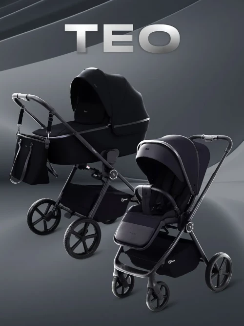 Коляска 2 в 1 Rant Teo RA122 Black - фото 1