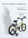 Велосипед Happy Baby Quantum 16 grey