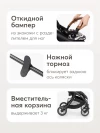 Коляска прогулочная Happy Baby Lynn black & flora