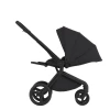 Коляска 2 в 1 Anex Flo (fl-05c) Lungo