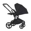 Коляска 2 в 1 Anex Flo (fl-05c) Lungo
