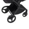 Коляска 2 в 1 Anex Flo (fl-05c) Lungo