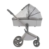 Коляска 2 в 1 Anex Flo (fl-06F) Frossy