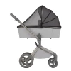Коляска 2 в 1 Anex Flo (fl-06F) Frossy