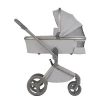 Коляска 2 в 1 Anex Flo (fl-06F) Frossy