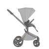 Коляска 2 в 1 Anex Flo (fl-06F) Frossy