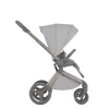 Коляска 2 в 1 Anex Flo (fl-06F) Frossy