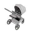 Коляска 2 в 1 Anex Flo (fl-06F) Frossy