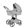Коляска 2 в 1 Anex Flo (fl-06F) Frossy