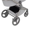 Коляска 2 в 1 Anex Flo (fl-06F) Frossy