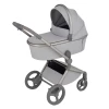 Коляска 2 в 1 Anex Flo (fl-06F) Frossy
